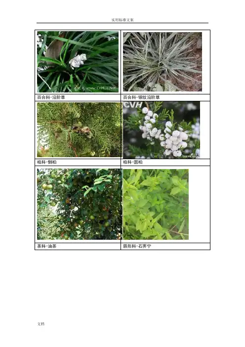 南方常见植物图谱..