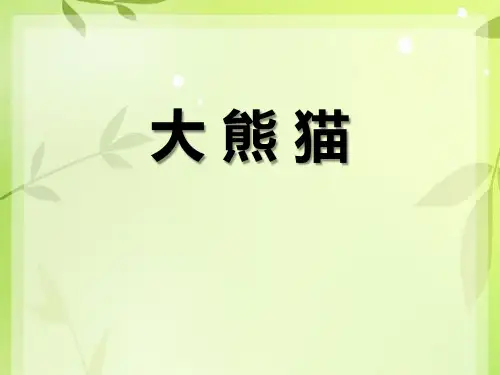 《大熊猫》PPT-模板