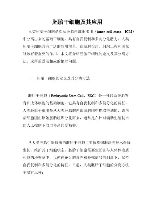 胚胎干细胞及其应用