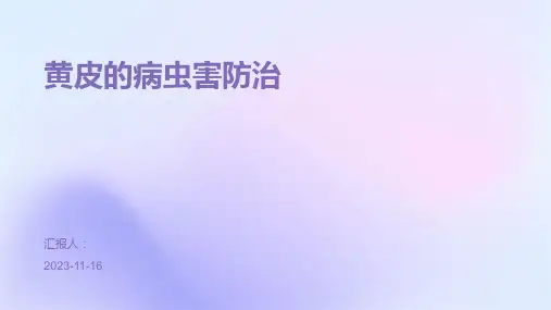 黄皮的病虫害防治