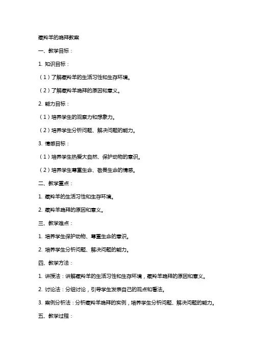 藏羚羊的跪拜教案