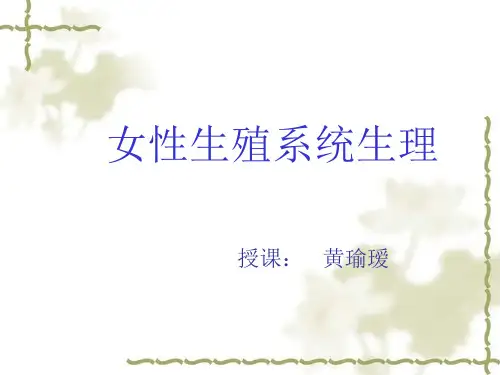 2女性生殖系统生理-PPT课件