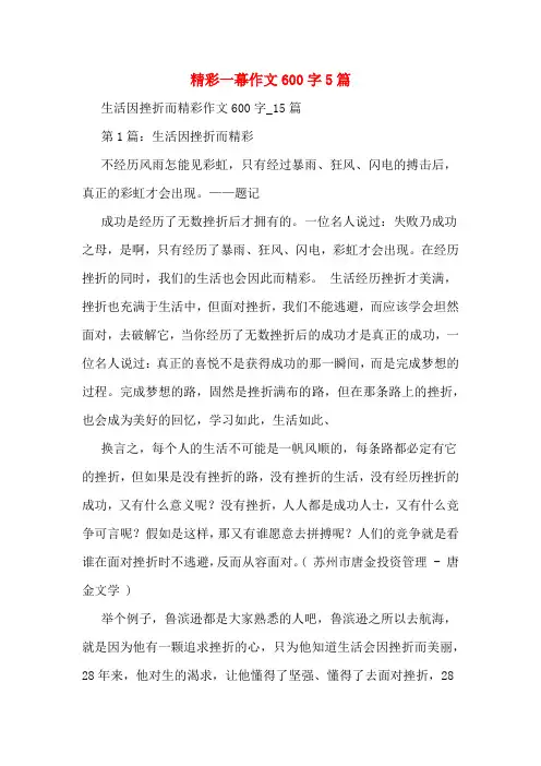 精彩一幕作文600字5篇