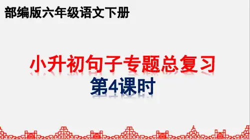 部编版小升初六年级下册语文句子专题期末复习 第4课时  (共22张PPT)