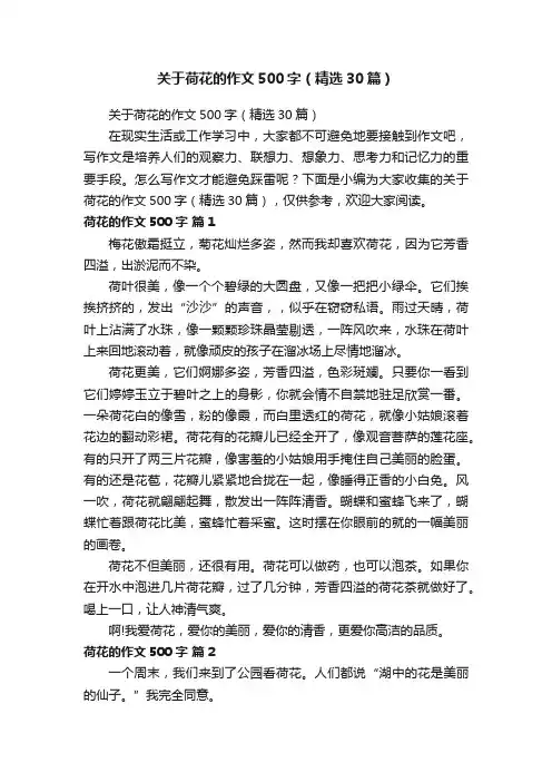 关于荷花的作文500字（精选30篇）