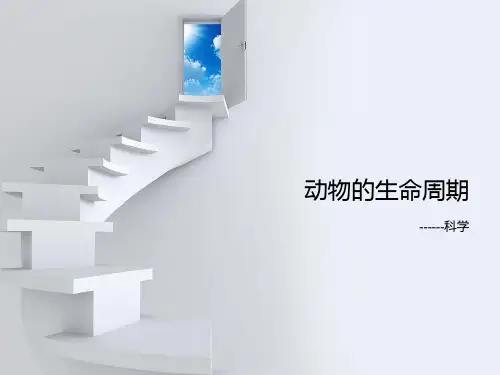 小学科学第六册第二单元《动物的生命周期》