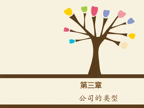 第三章 公司的类型