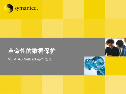 NetBackup产品介绍及解决方案