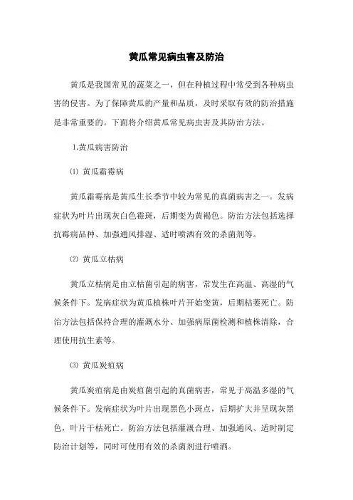 黄瓜常见病虫害及防治