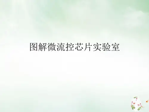图解微流控芯片实验室课件PPT