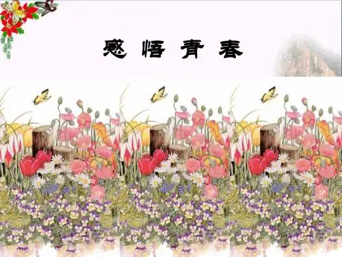 感悟青春PPT课件6 人教版(14张)