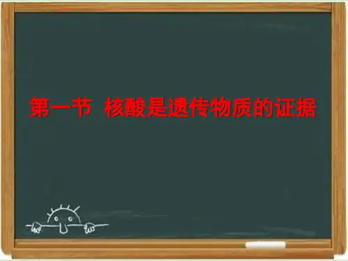 浙科版高中生物必修二《核酸是遗传物质的证据》课件-新版