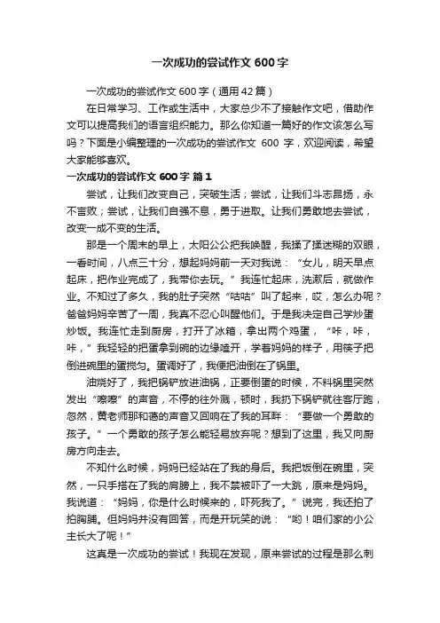 一次成功的尝试作文600字（通用42篇）