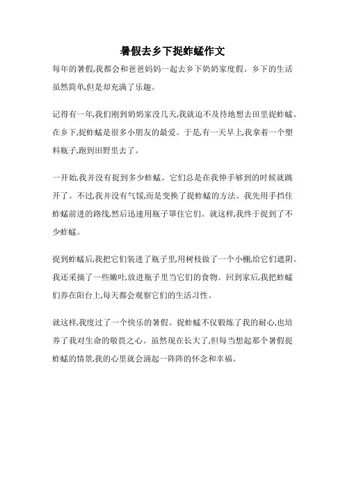 暑假去乡下捉蚱蜢作文