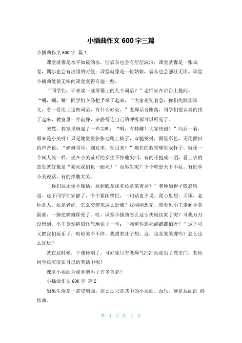 小插曲作文600字三篇