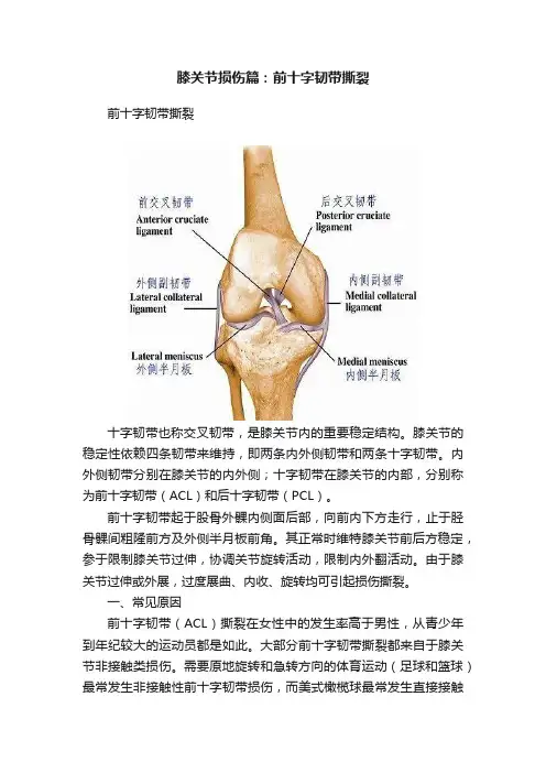 膝关节损伤篇：前十字韧带撕裂