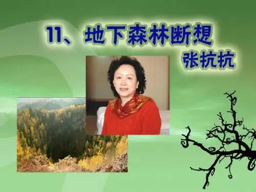 《地下森林断想课件》ppt