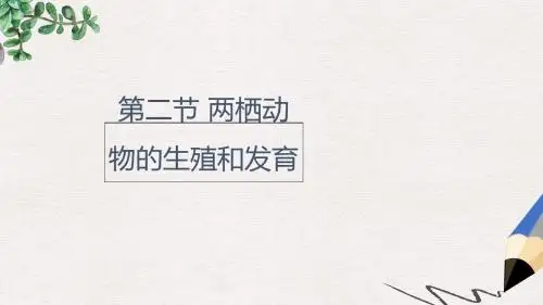 八年级生物上册 4.2.2《两栖动物的生殖和发育》课件 (新版)济南版