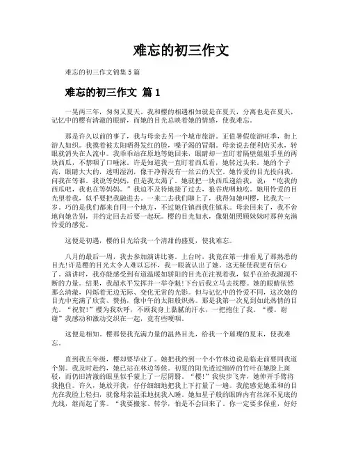 难忘的初三作文