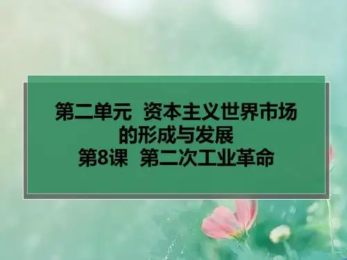湖北省咸丰县第一中学人教版高中历史必修二课件：第8