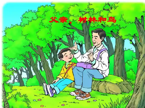 三年级语文《父亲树林和鸟》PPT