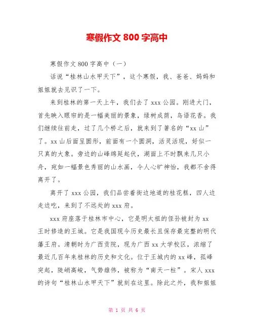 寒假作文800字高中