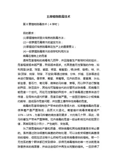 五章植物脱毒技术