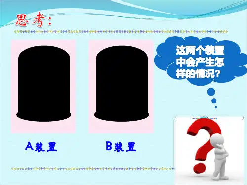 北师大版七年级上册生物课件呼吸作用课件