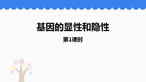 人教版八年级生物下册《基因的显性和隐性》PPT精品教学课件
