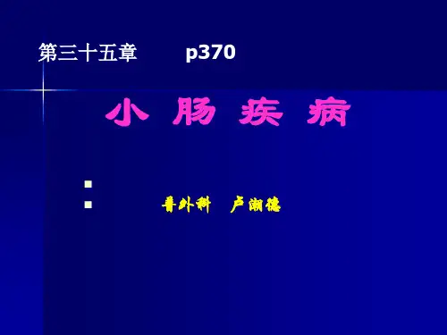 外科学小肠疾病精品PPT课件