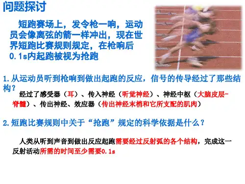 选择性必修1 第2章 第3节 神经冲动的产生和传导 2021级