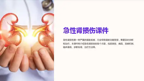 《急性肾损伤课件》