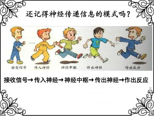 苏教版科学五年级下册5.3 感觉