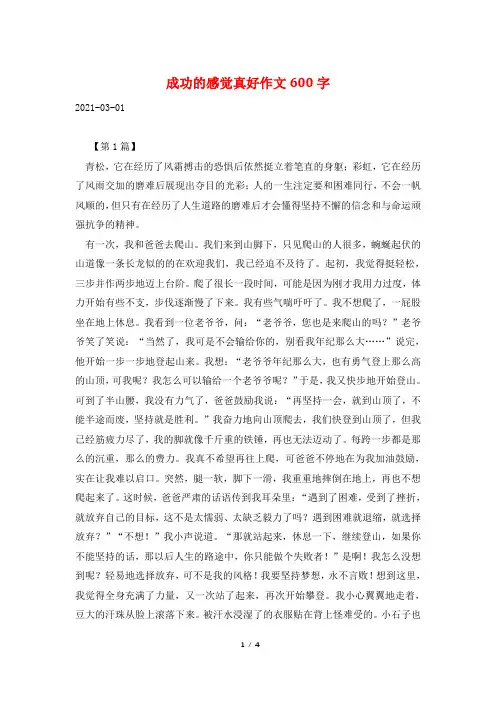 成功的感觉真好作文600字