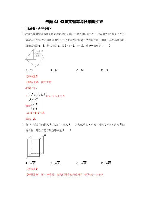 2023-2024学年八年级数学下册 专题04 勾股定理常考压轴题汇总(解析版)