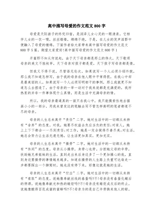 高中描写母爱的作文范文800字