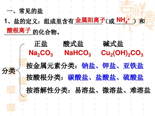 常见的盐和化肥