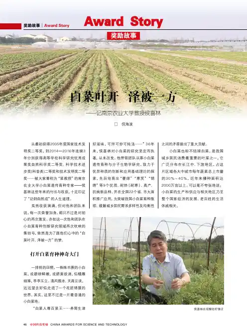 白菜叶开泽被一方——记南京农业大学教授侯喜林