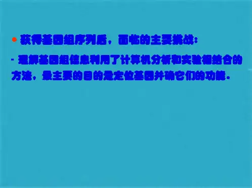 Genomics第章(共142张PPT)