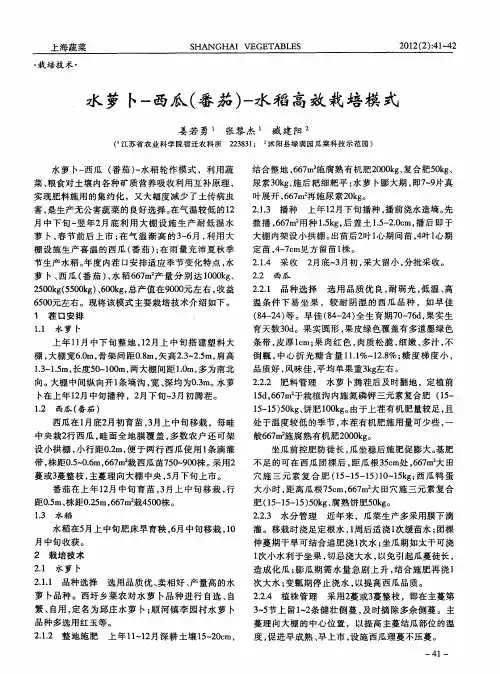 水萝卜-西瓜(番茄)-水稻高效栽培模式