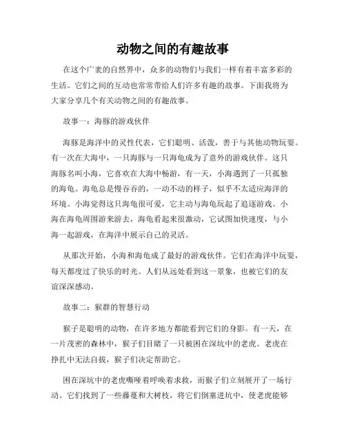 动物之间的有趣故事