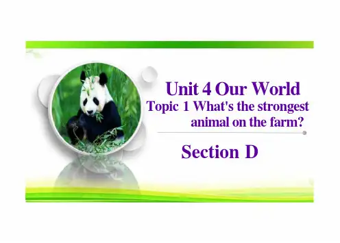 Unit4OurWorldTopic1SectionD课件-仁爱科普版八年级英语上册