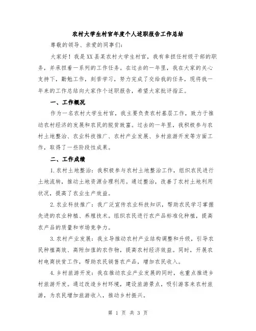 农村大学生村官年度个人述职报告工作总结