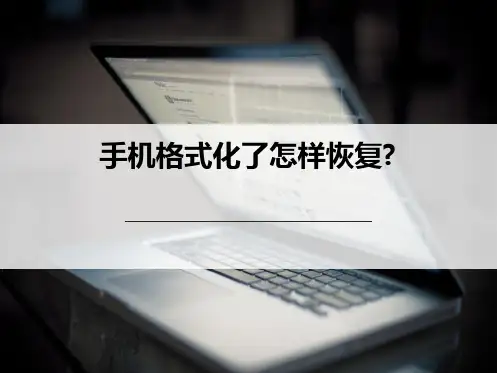 手机格式化了怎么恢复天盾数据恢复中心(“格式化”文档)共10张