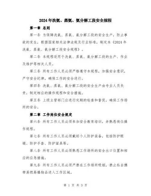 2024年洗氨、蒸氨、氨分解工段安全规程