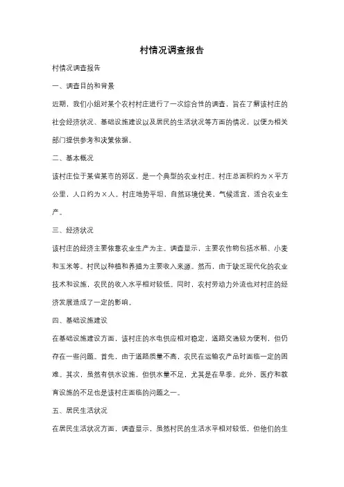 村情况调查报告