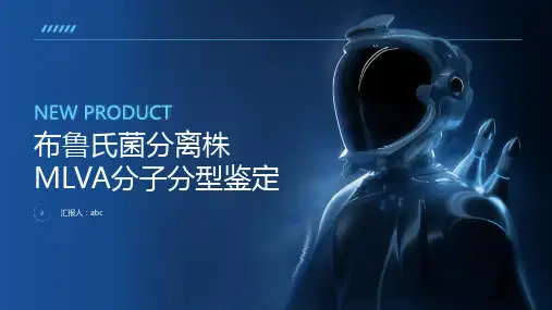 布鲁氏菌分离株MLVA分子分型鉴定