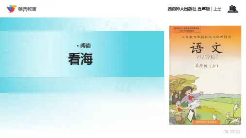《看海》(西南师大)PPT课件