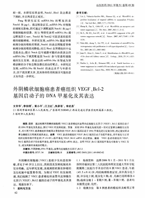 外阴鳞状细胞癌患者癌组织VEGF、Bcl-2基因启动子的DNA甲基化及其表达