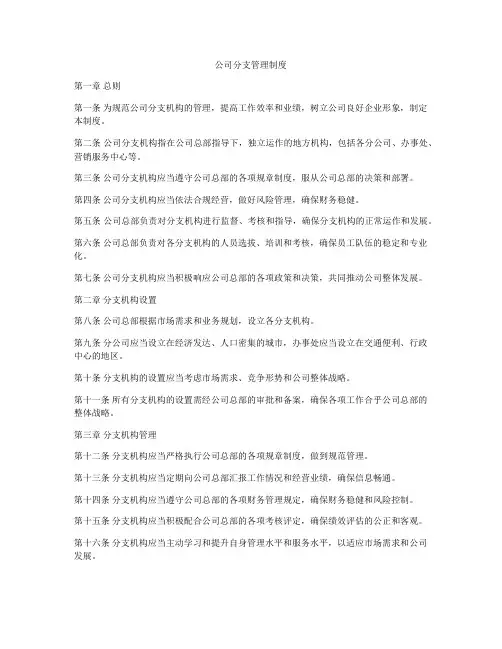 公司分支管理制度